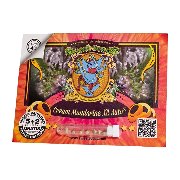 Sweet Seeds – Cream Mandarine XL Auto – semi da collezione (5+2 pz)