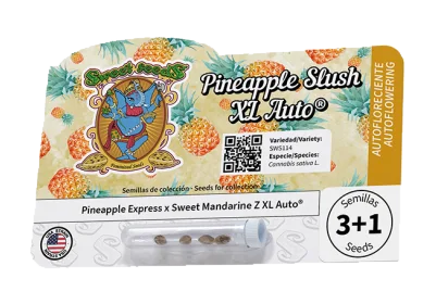 Sweet Seeds – Pineapple Slush XL Auto – semi da collezione (100 pz)