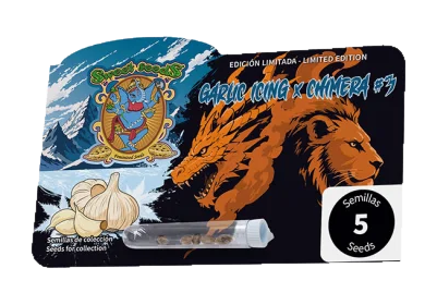 Sweet Seeds – Garlic Icing x Chimera #3 – semi da collezione (5 pz)