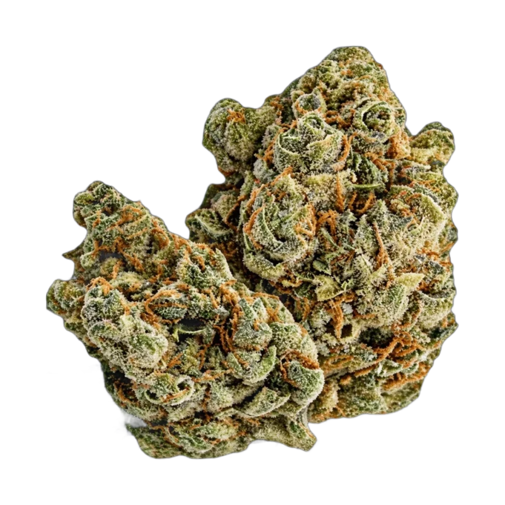 CBD Indoor Amnesia