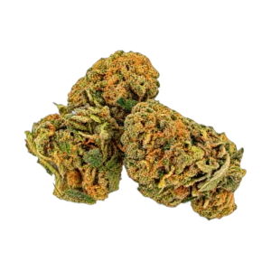CBD Outdoor Lemon – infiorescenze