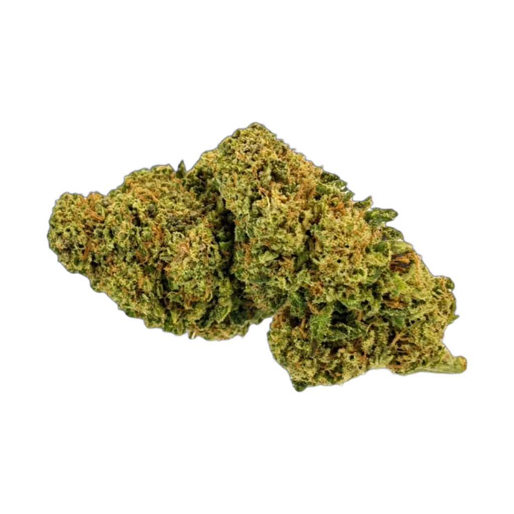 CBD Outdoor Pink Pineapple – infiorescenza