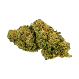 CBD Outdoor Pink Pineapple – infiorescenza