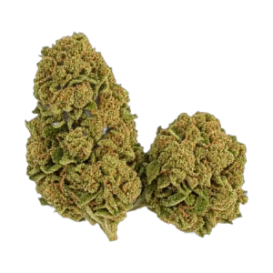 CBD Outdoor Red – infiorescenze